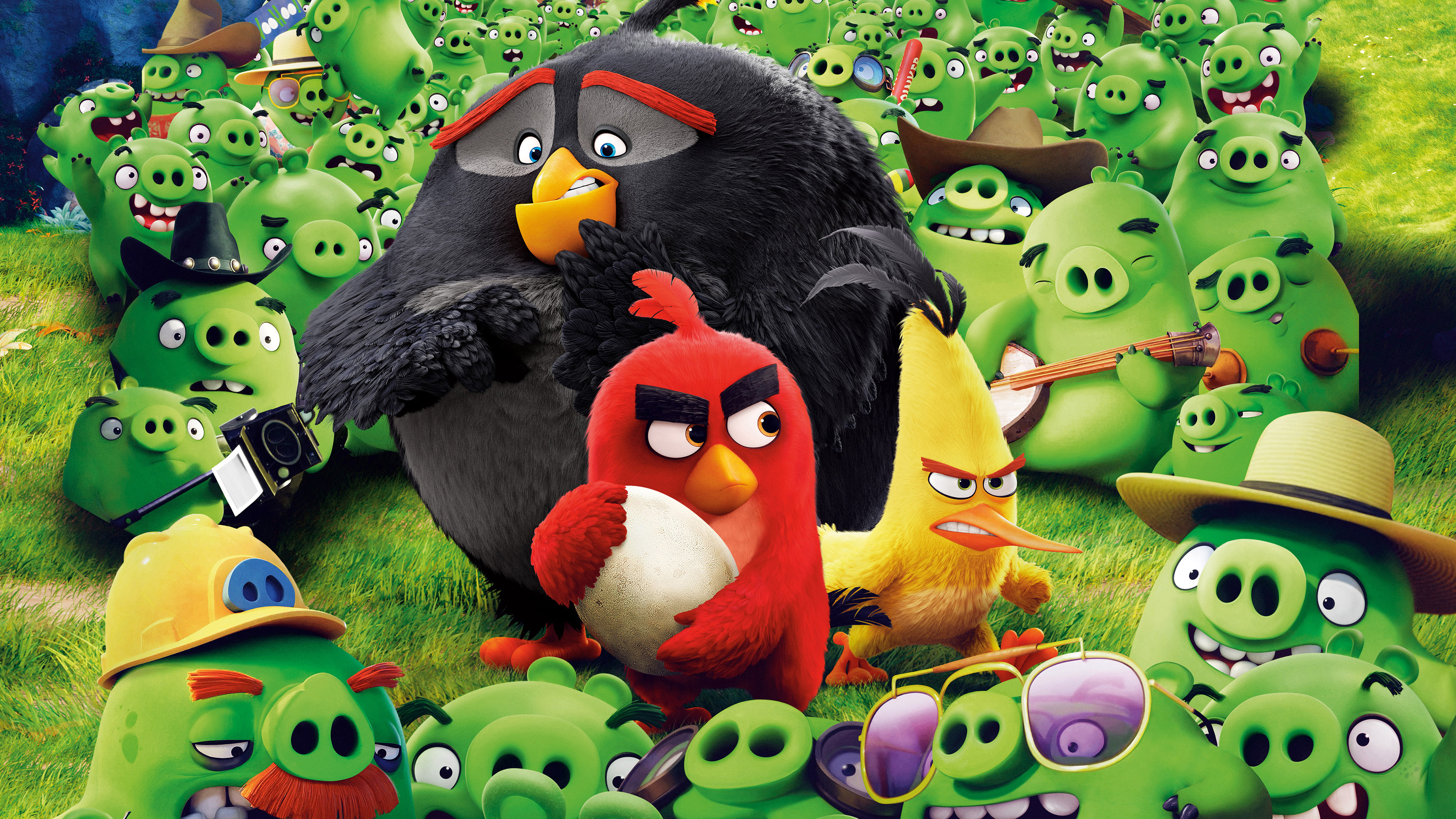 Angry Birds Wallpaper 4k - HD Wallpaper 
