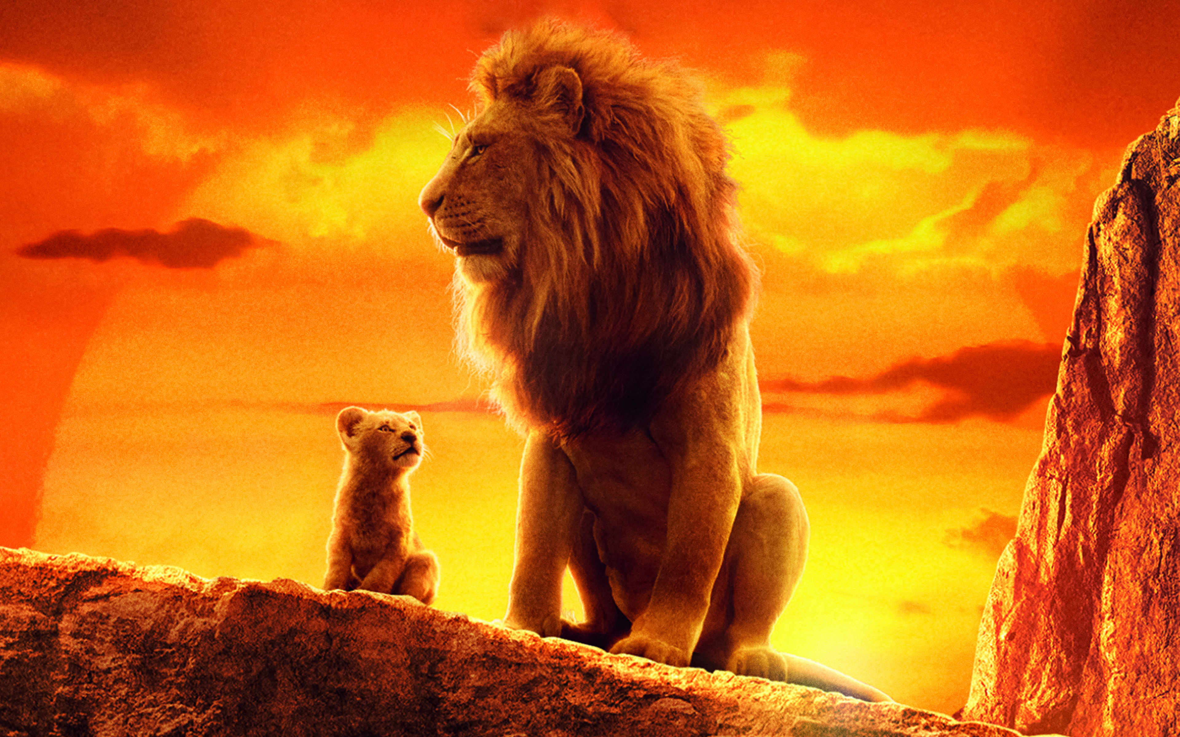 Lion King 2019 Blu Ray - HD Wallpaper 