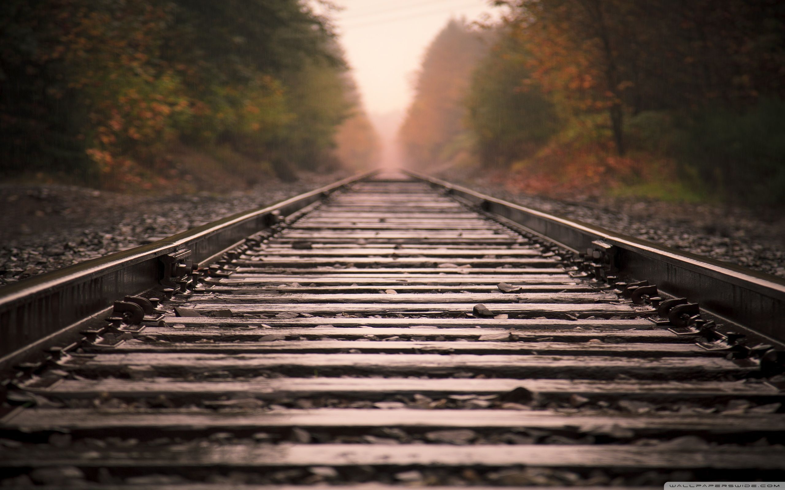 Railroad Tracks ❤ 4k Hd Desktop Wallpaper For • Dual - Railroad Background - HD Wallpaper 