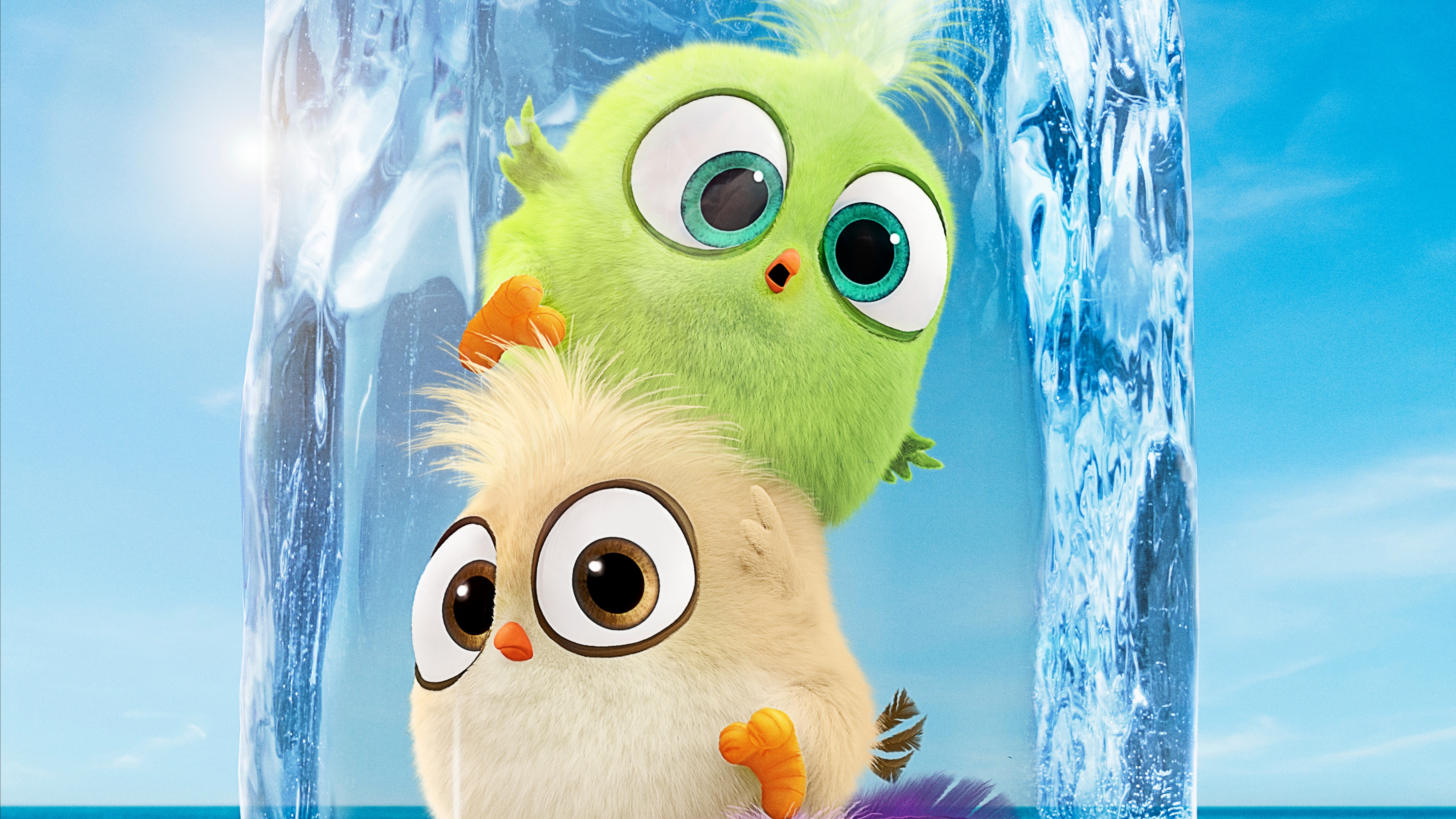 Angry Birds Wallpaper - HD Wallpaper 