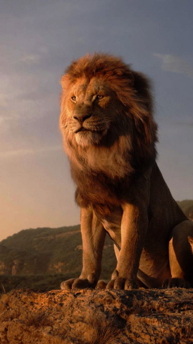 The Lion King, Hd - HD Wallpaper 