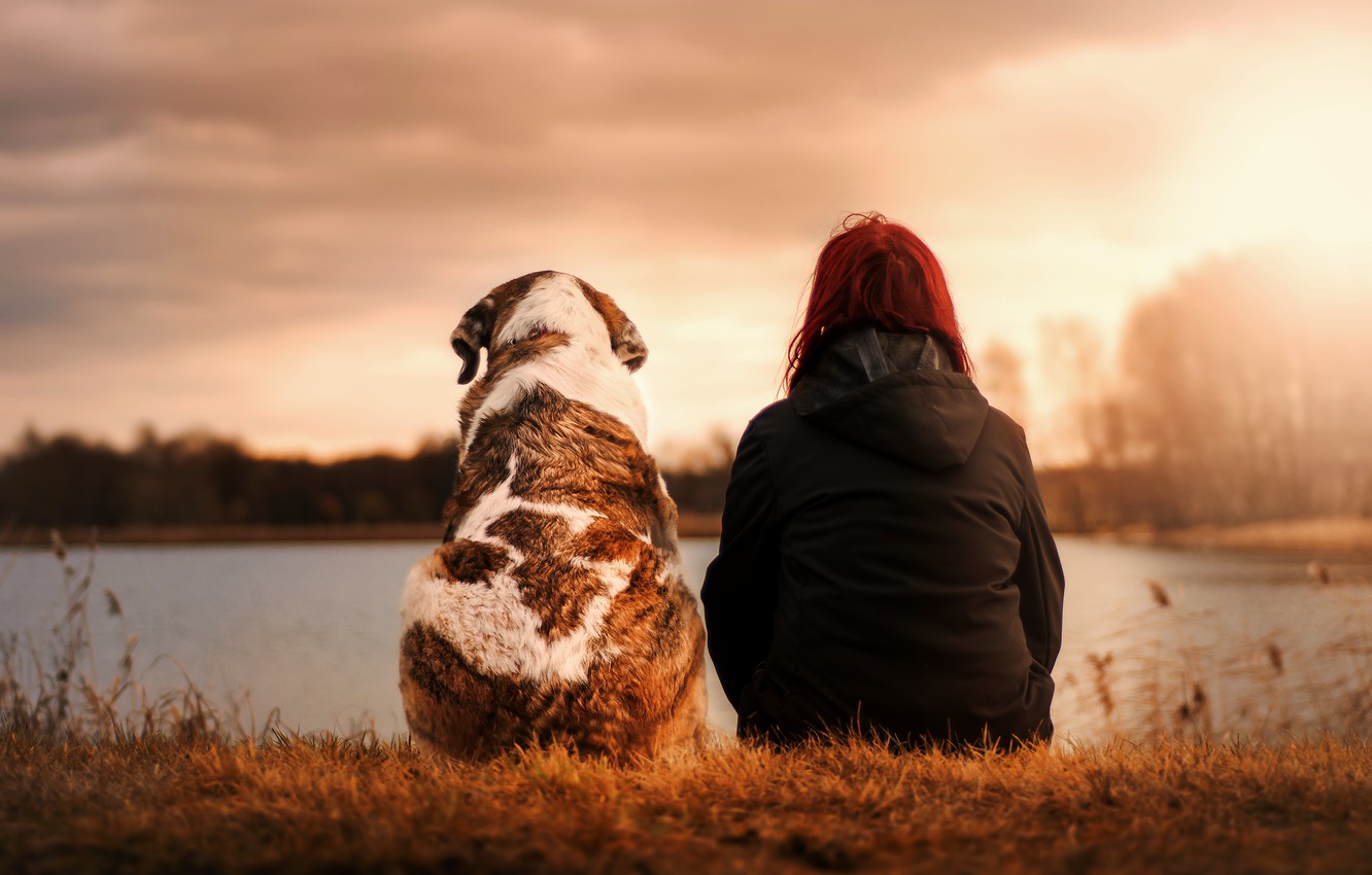 Photo Wallpaper Girl, Sunset, Dog, Moody, Best Friend - Best Friend Wallpaper 4 Girls - HD Wallpaper 