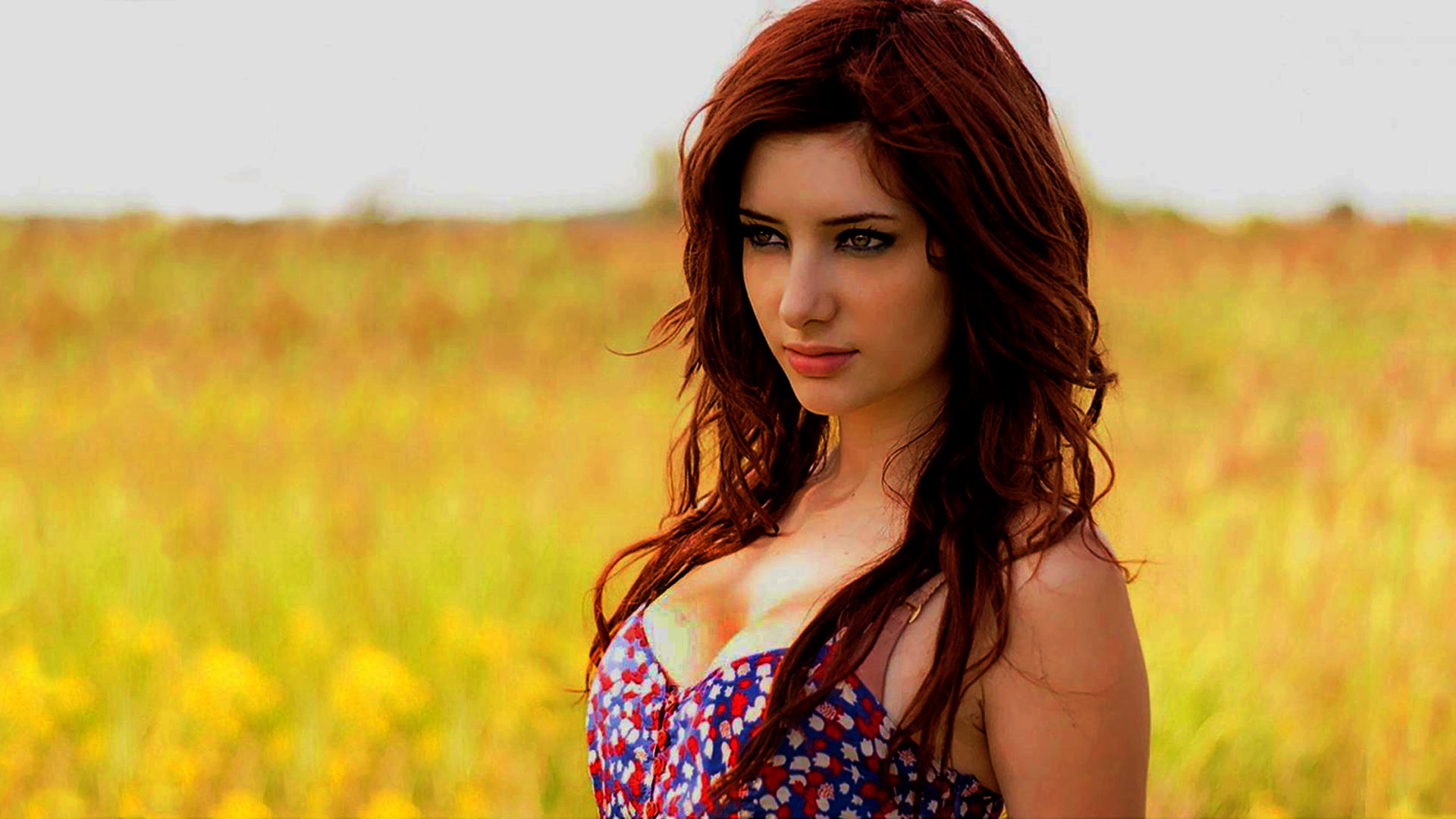 Susan Coffey - HD Wallpaper 