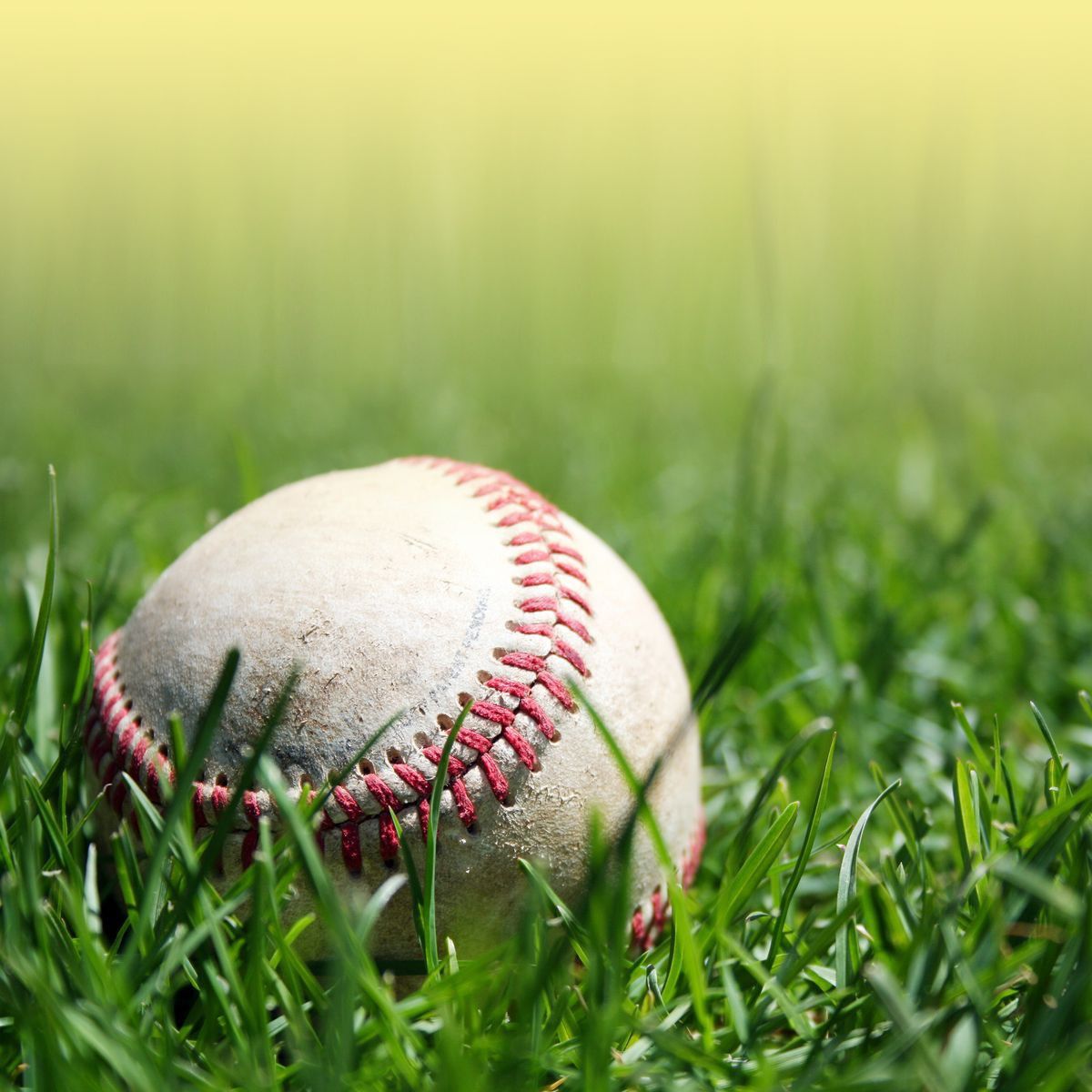 Baseball Live Wallpaper Iphone - HD Wallpaper 