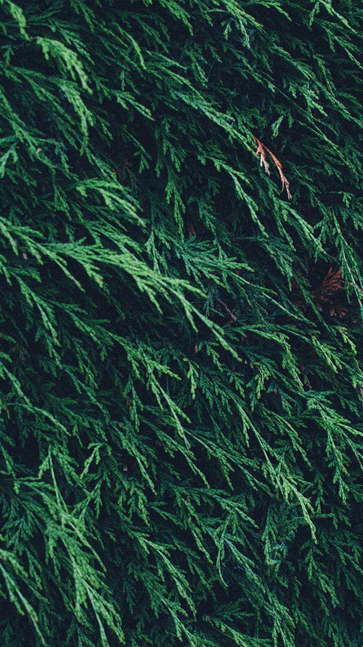 National Hockey League - HD Wallpaper 