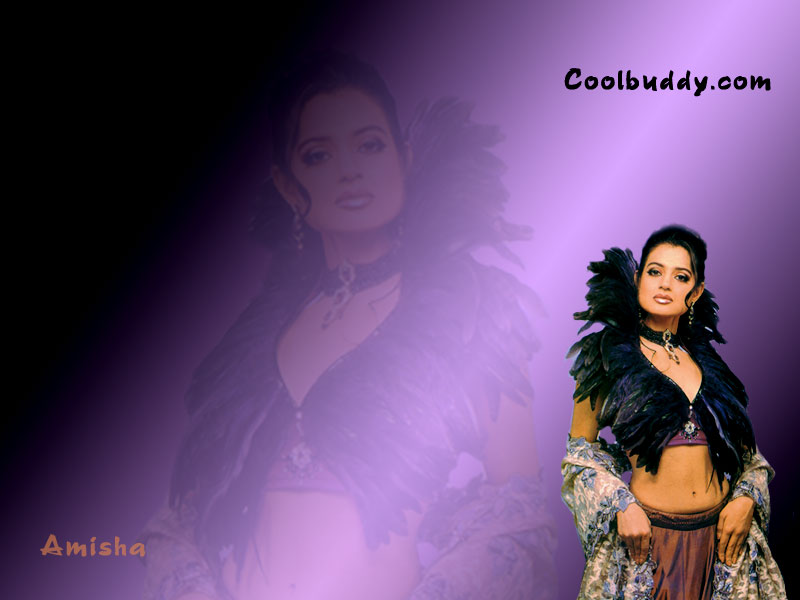 Beautiful New Amisha Patel - HD Wallpaper 