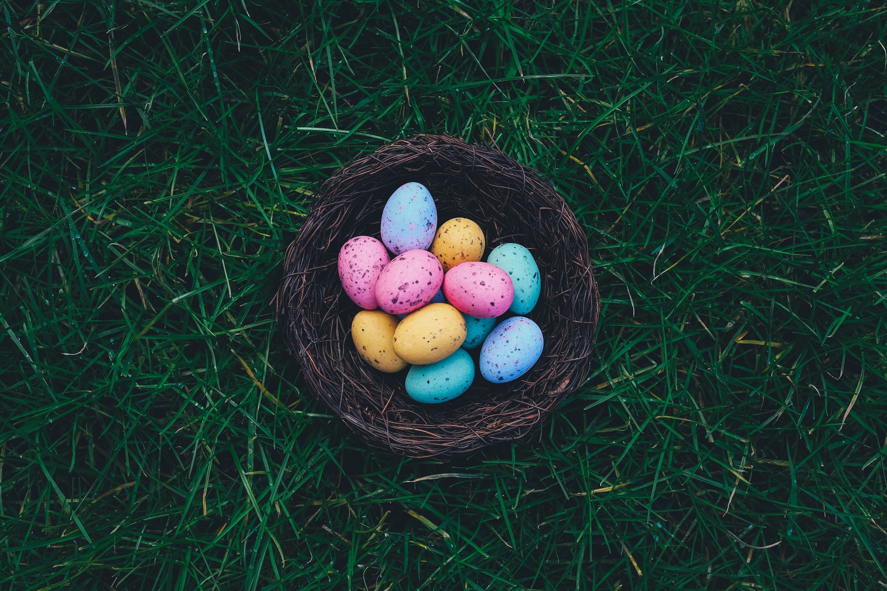 Next To The Easter Bunny, The Most Familiar Symbol - Easter Free - HD Wallpaper 