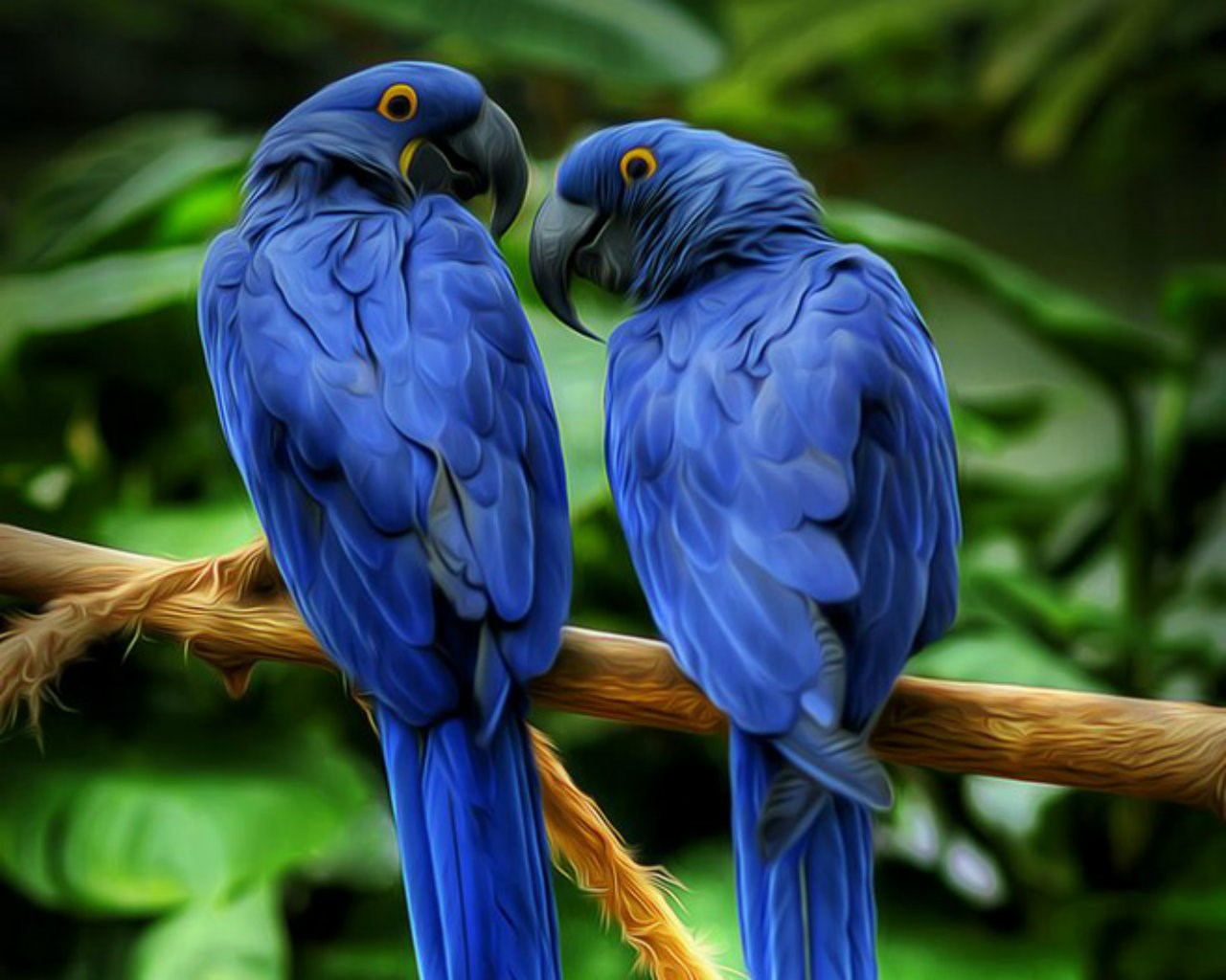 Macaw Wallpapers - Hd Wallpaper Blue Macaw - 1280x1024 Wallpaper Macaw Wallpapers - Hd Wallpaper Blue Macaw - 1280x1024 Wallpaper