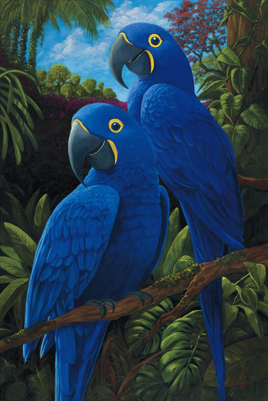 Hyacinth Macaw Beautiful Birds - HD Wallpaper 