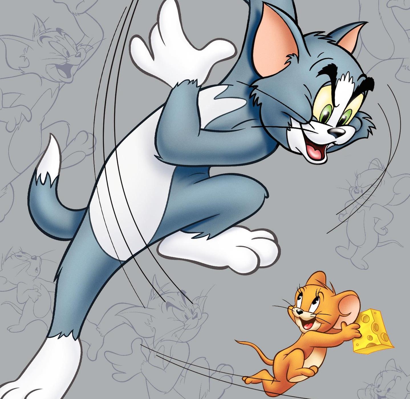 Hd Wallpaper Tom And Jerry Hd Wallpaper 2012 Tom And - Tom And Jerry Dp Hd - HD Wallpaper 