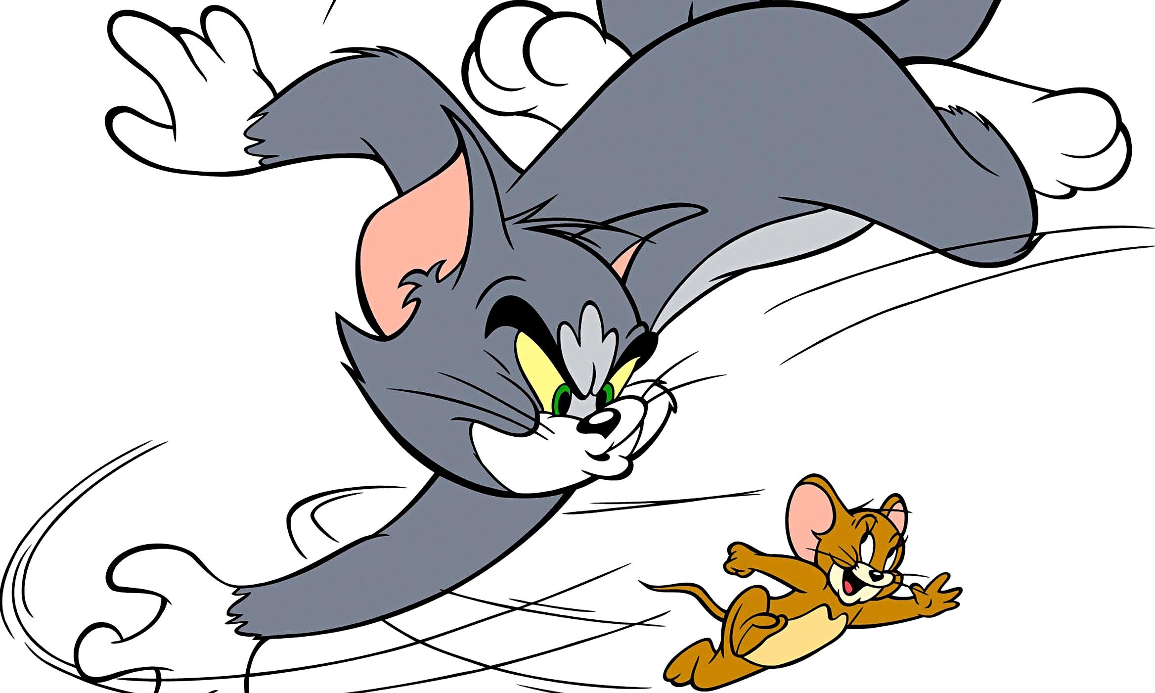 Cat And Mice Cartoon - 2336x1401 Wallpaper 