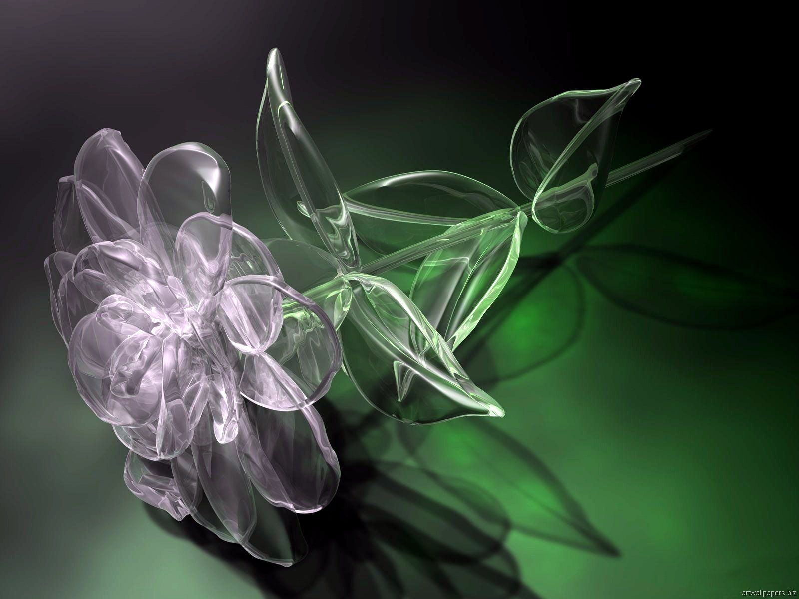 New Flower Image Downloading - HD Wallpaper 