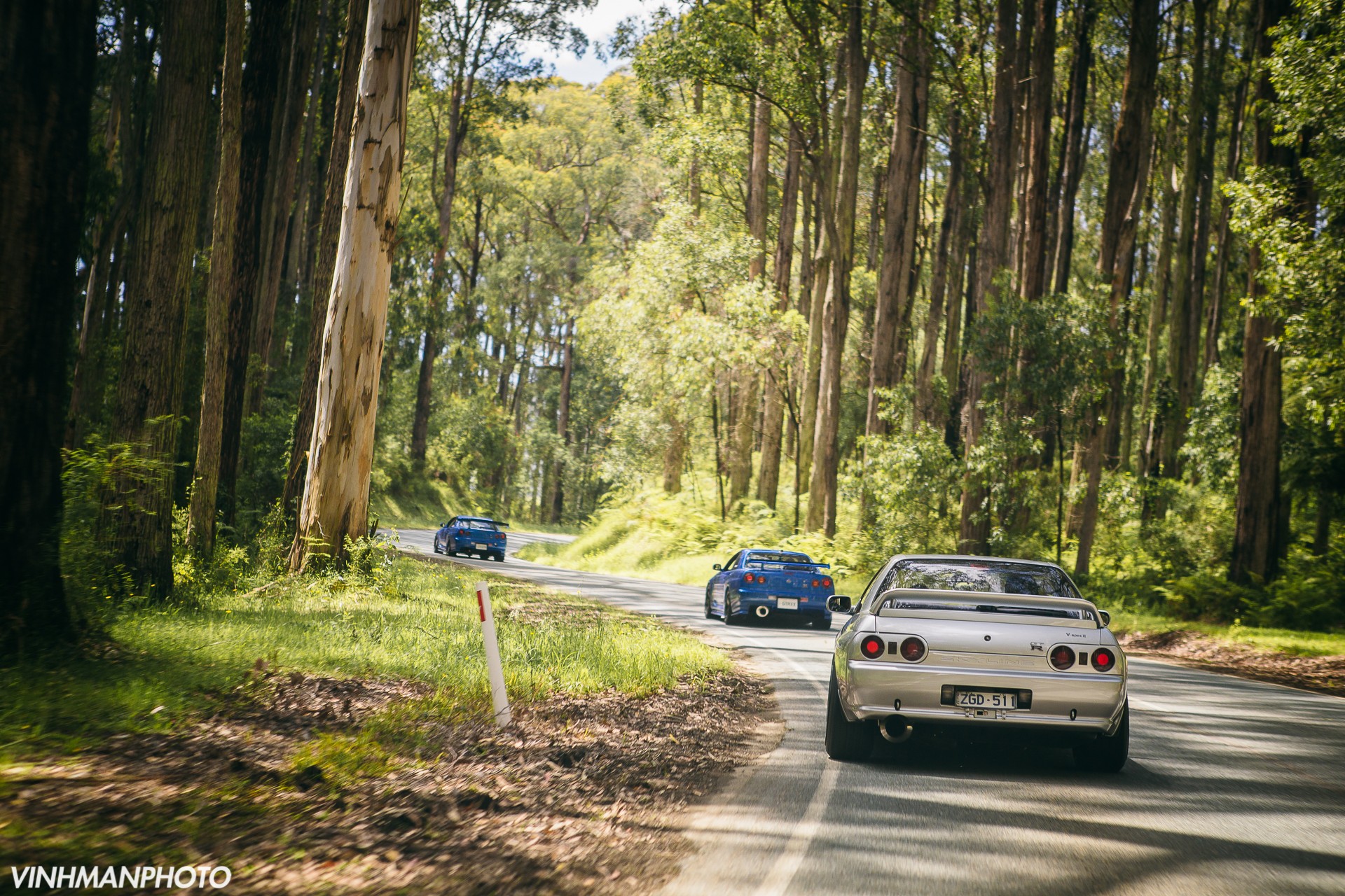 R32 Trees - HD Wallpaper 