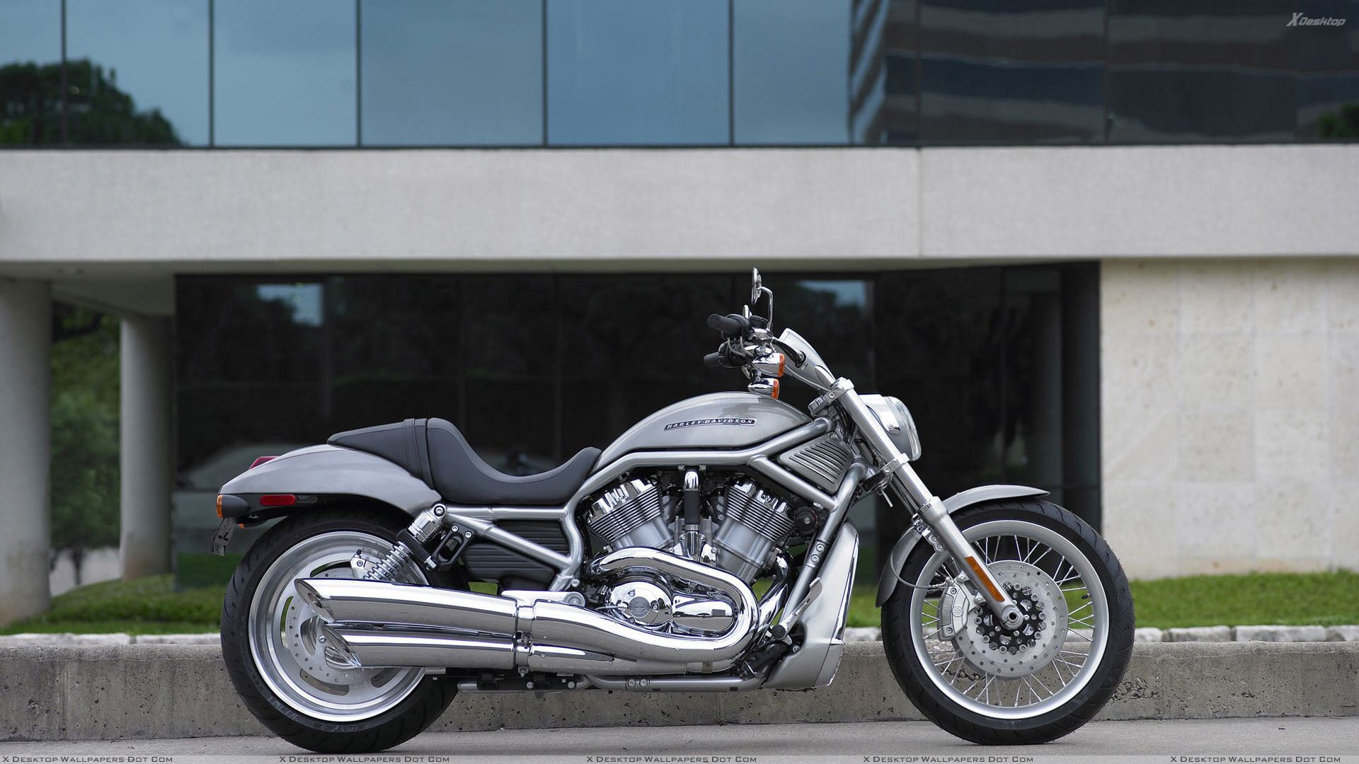 2008 Harley Davidson Vrsca V Rod - HD Wallpaper 