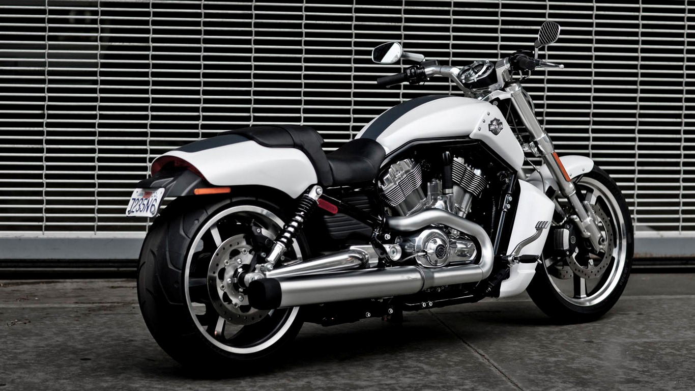 Harley Davidson V Rod Muscle White Motorcycle - Davidson V Rod Muscle 2011 - HD Wallpaper 