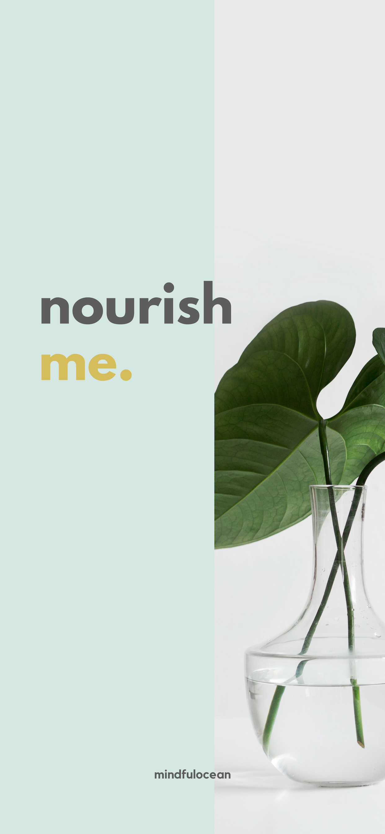 Herbal - HD Wallpaper 