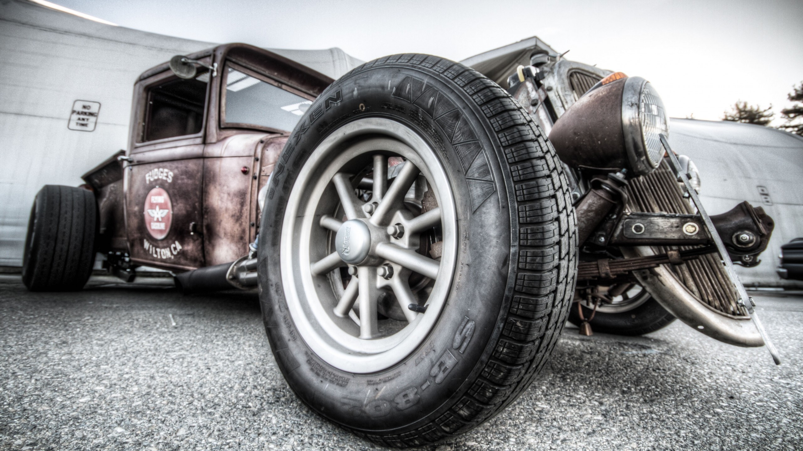 Wallpaper - HD Wallpaper 