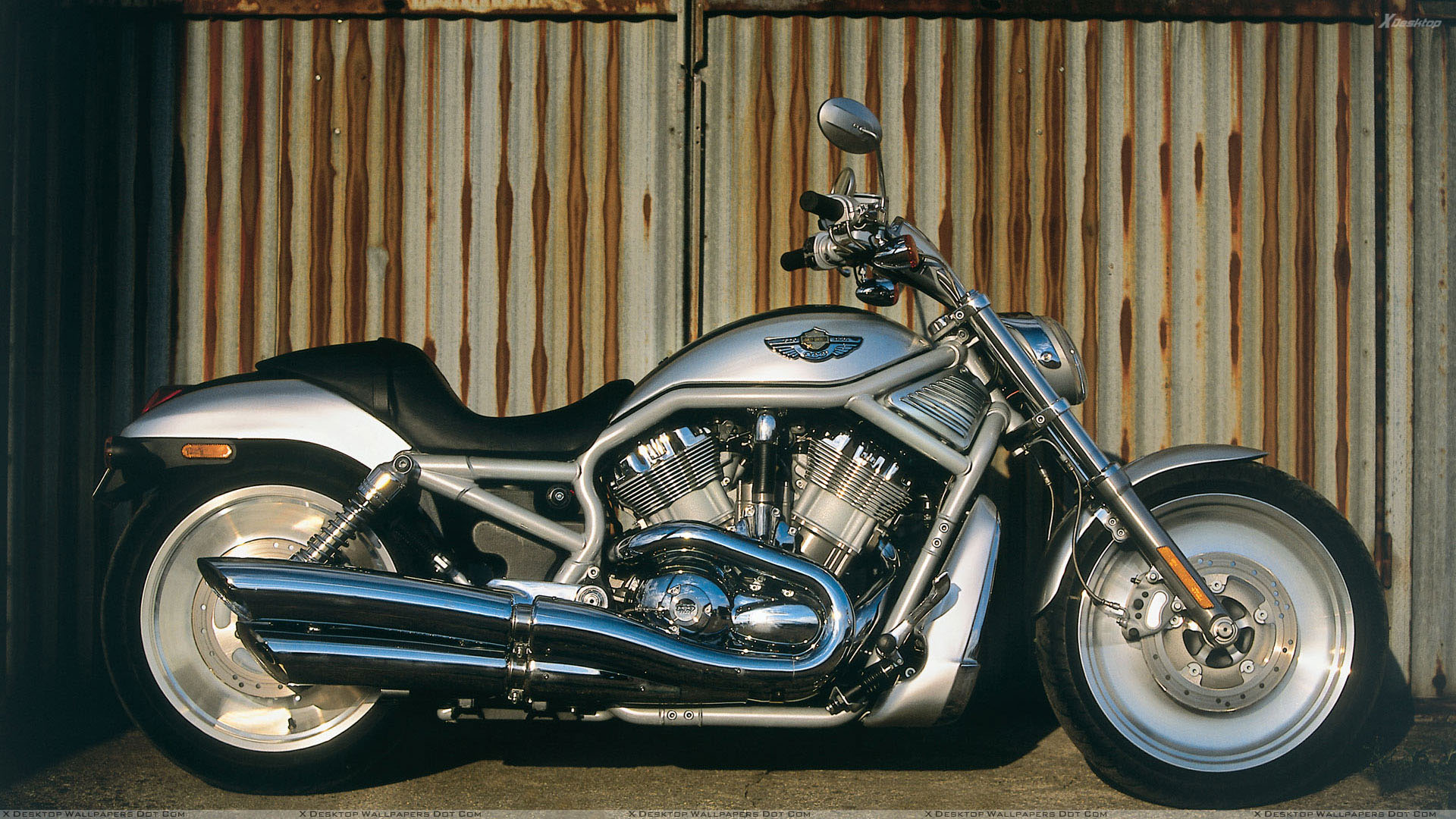 Harley Davidson Night Rod 2003 - HD Wallpaper 