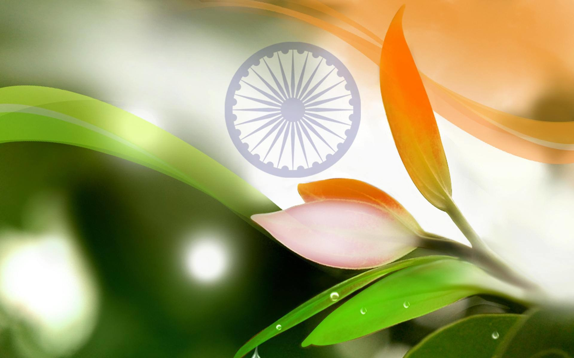 Indian Flag Images Hd Wallpaper For Pc - 1920x1200 Wallpaper 