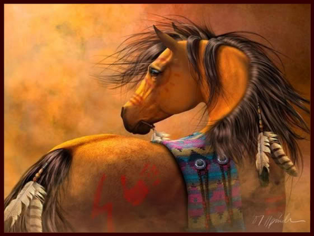 Beautiful, Feather, And Horse Image - Native American Indian Horses - HD Wallpaper 