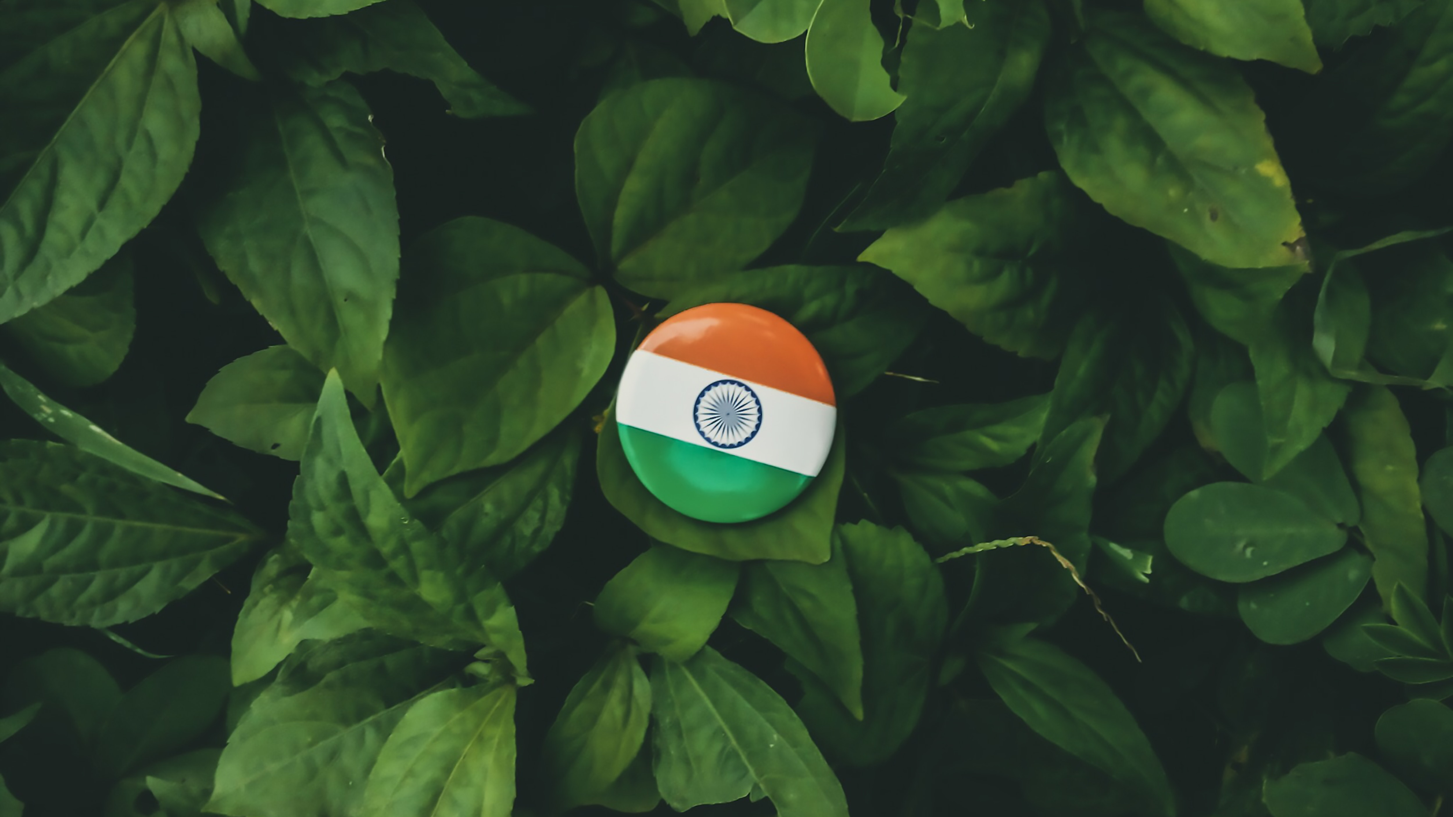 India Flag 4k Wallpaprr For Mobile - 5000x2812 Wallpaper 