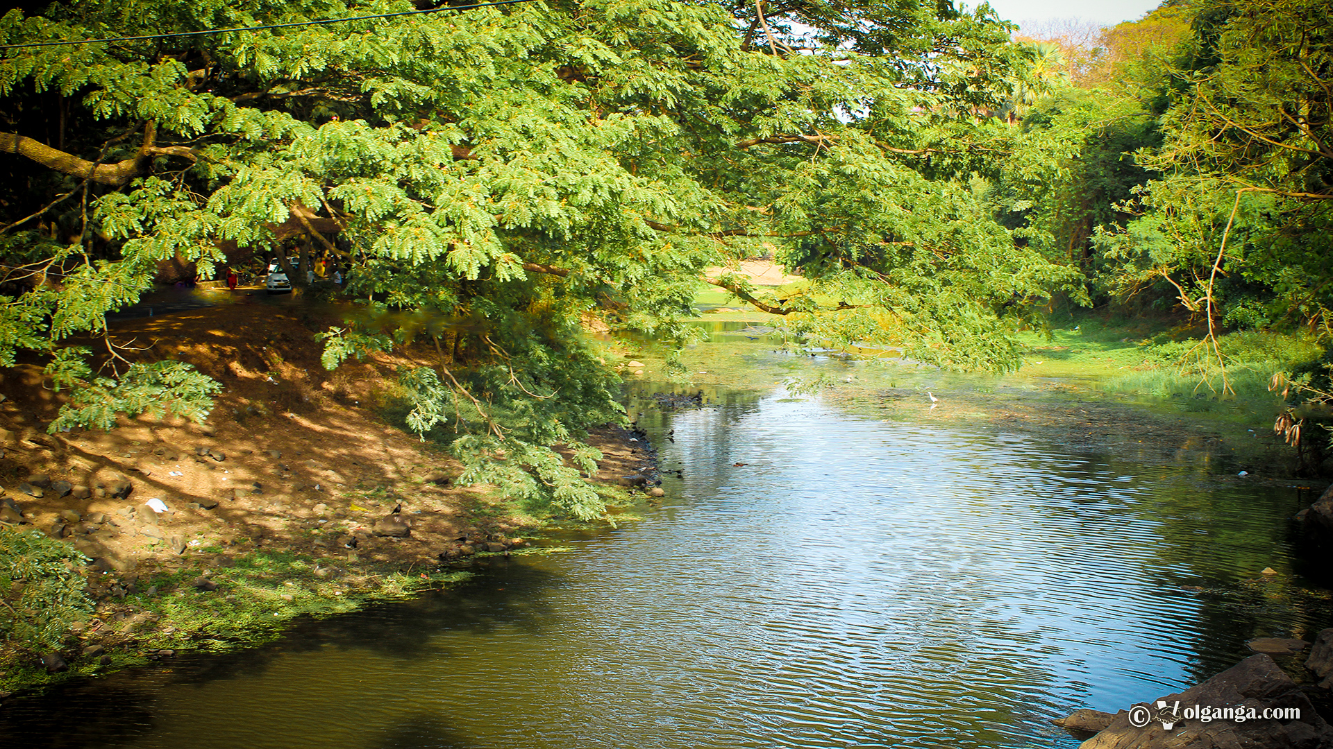 Mumbai National Park Hd03lr - Mumbai Park Image Hd - HD Wallpaper 