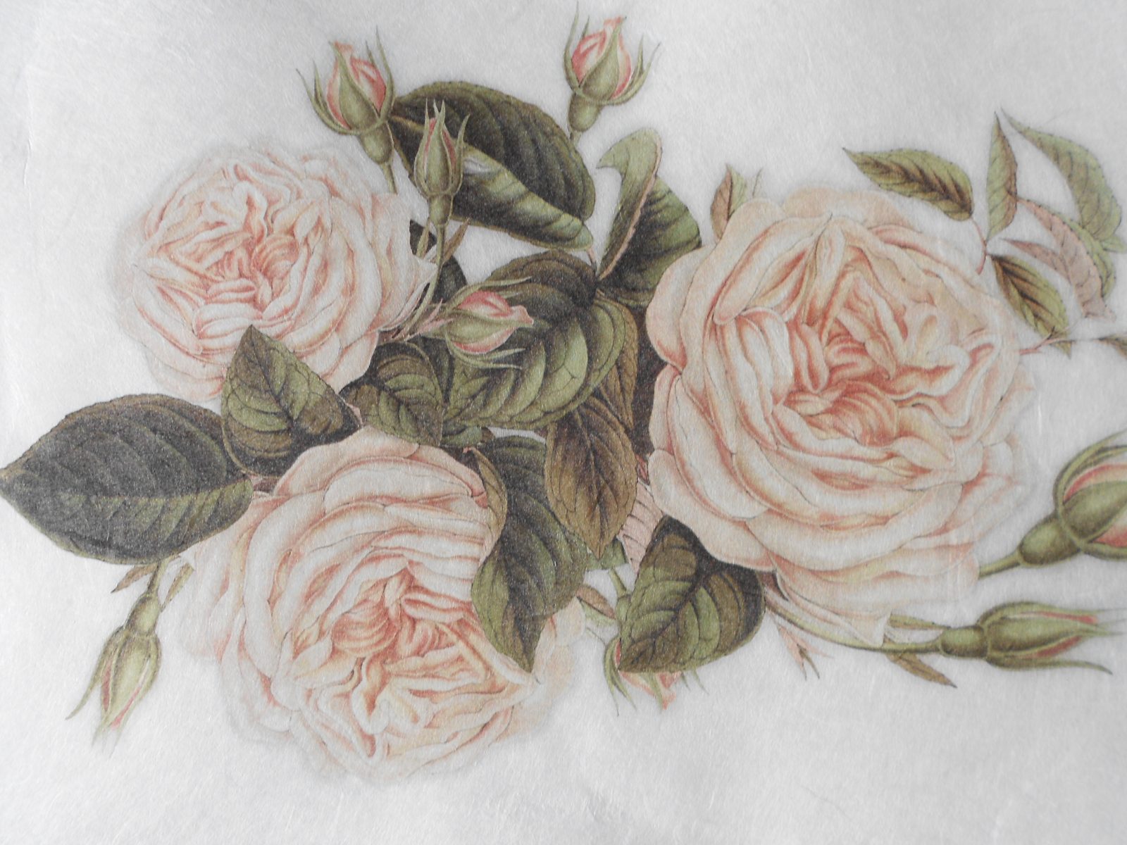 White Roses Decoupage Rice Paper - Motywy Kwiaty Róze - HD Wallpaper 