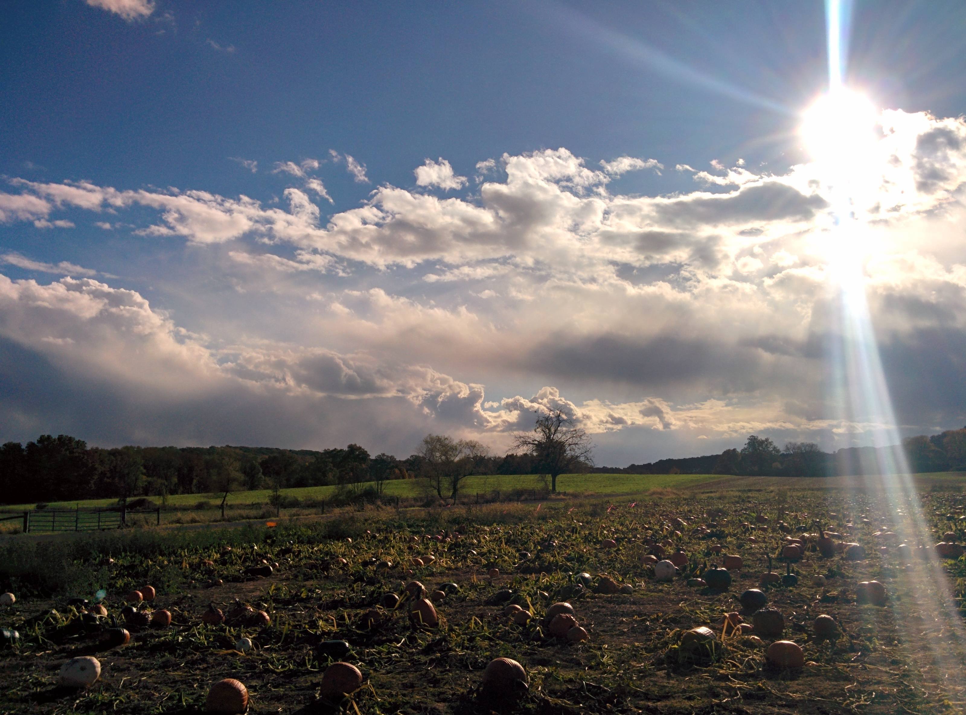 Sunlight - HD Wallpaper 