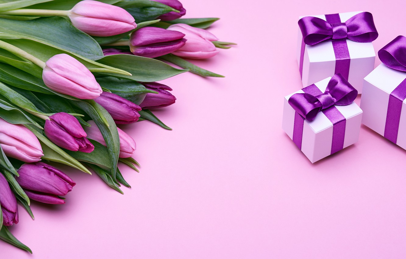 Photo Wallpaper Bouquet, Gifts, Tulips, Love, Pink, - Цветы В Коробке С Подарками - HD Wallpaper 