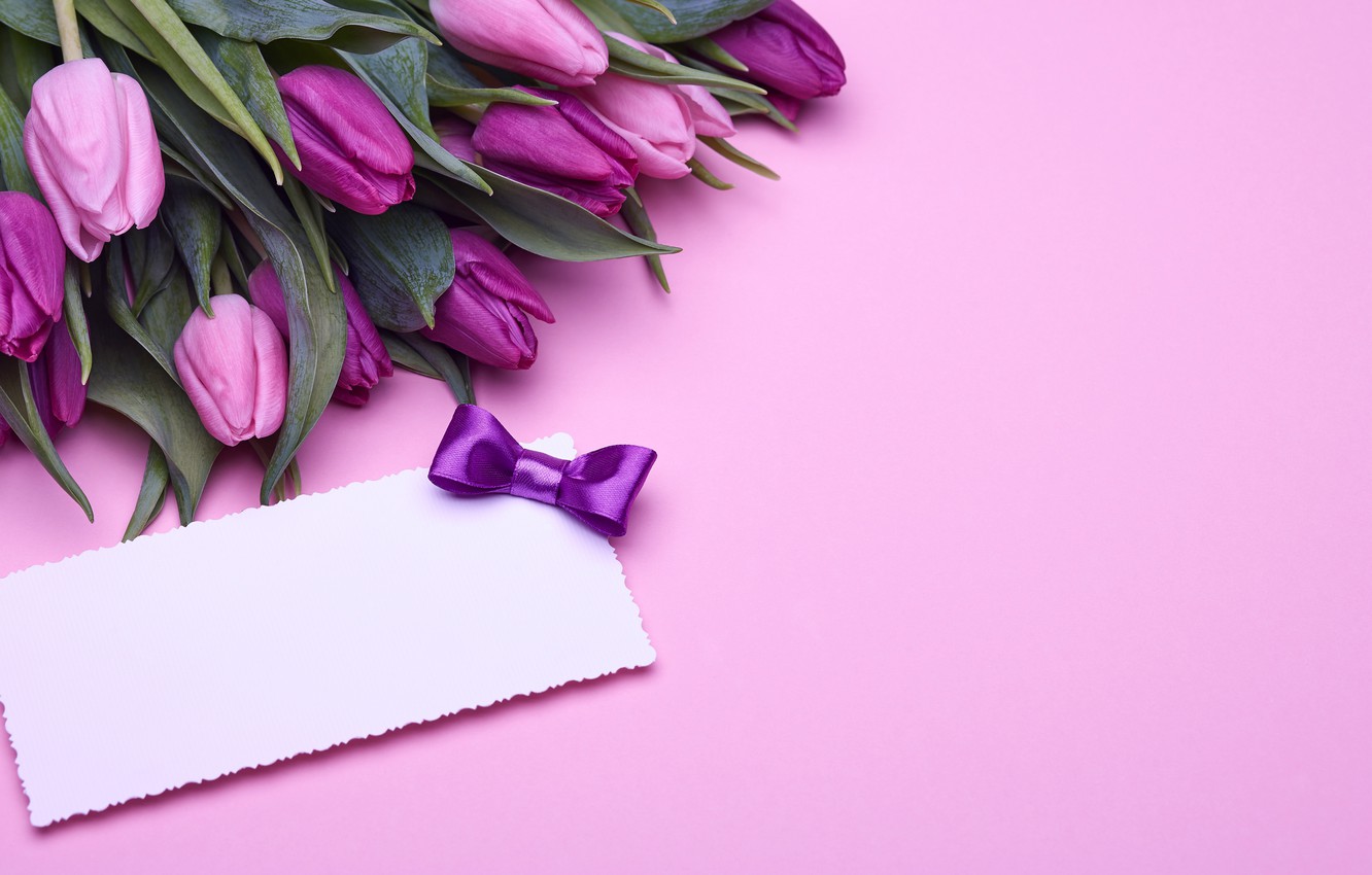 Photo Wallpaper Bouquet, Tulips, Love, Pink, Bow, Fresh, - 郁金香 背景 - HD Wallpaper 