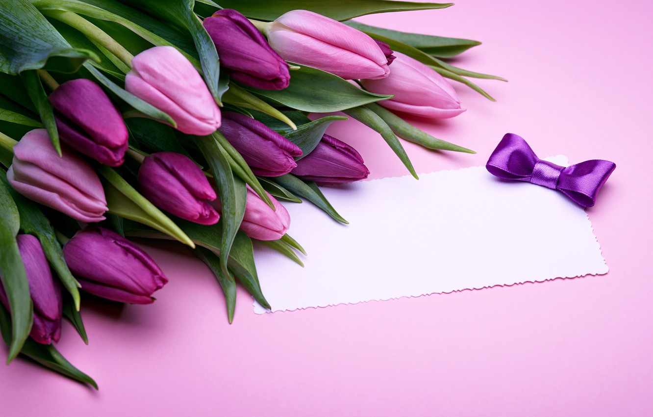 Photo Wallpaper Bouquet, Tulips, Love, Pink, Bow, Fresh, - Tulip - HD Wallpaper 