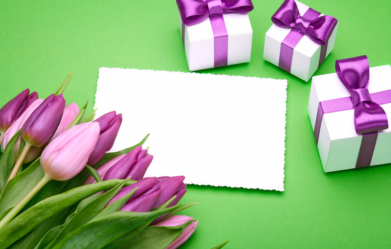 Photo Wallpaper Bouquet, Tulips, Love, Pink, Bow, Fresh, - Felicitación Con Tulipanes - HD Wallpaper 