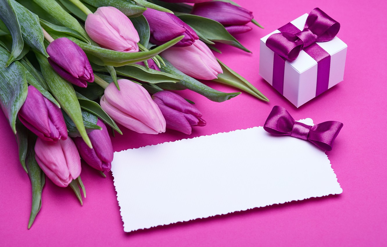 Photo Wallpaper Bouquet, Tulips, Love, Pink, Bow, Fresh, - Wedding Congratulations Images In Purple - HD Wallpaper 