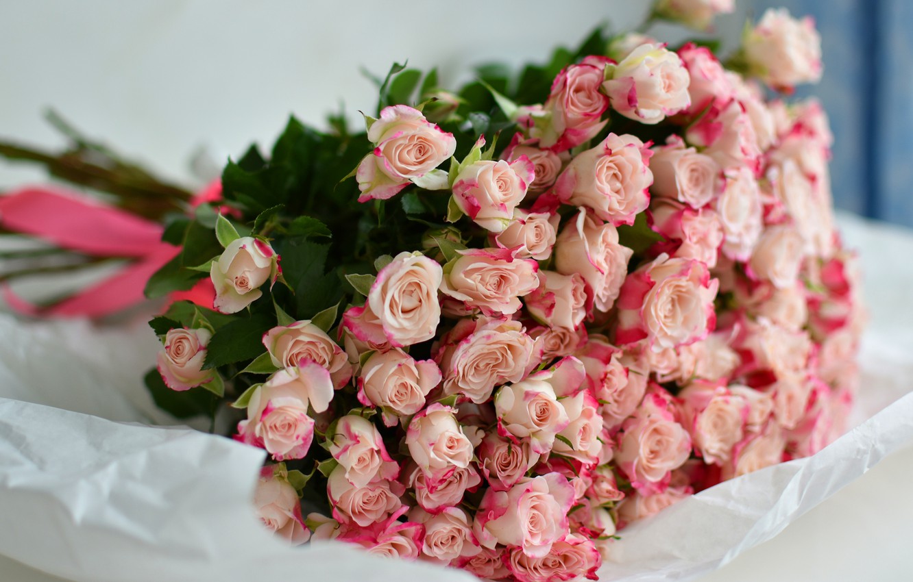 Photo Wallpaper Flowers, Paper, Background, Roses, - Lot Of Roses - HD Wallpaper 