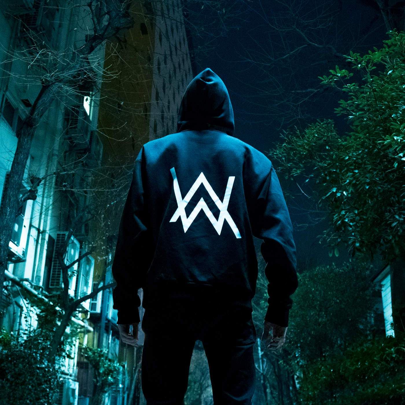 Alan Walker - HD Wallpaper 