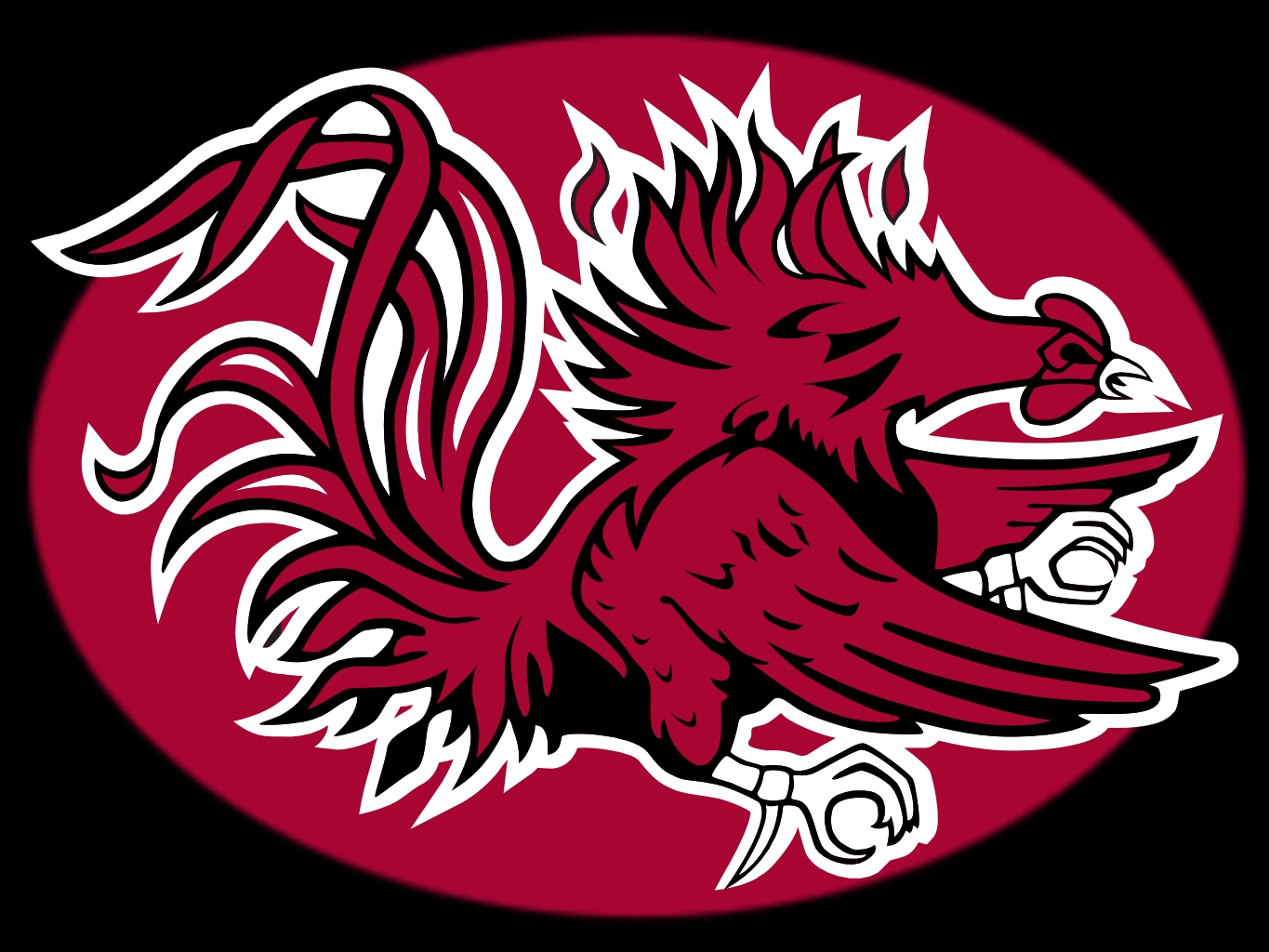 South Carolina Gamecocks Facebook Cover - HD Wallpaper 