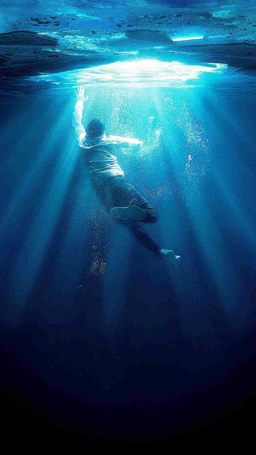 Coyote Animals Pocket Pc Wallpapers 240×320 Hd Wallpaper - Poster Breakthrough Movie - HD Wallpaper 