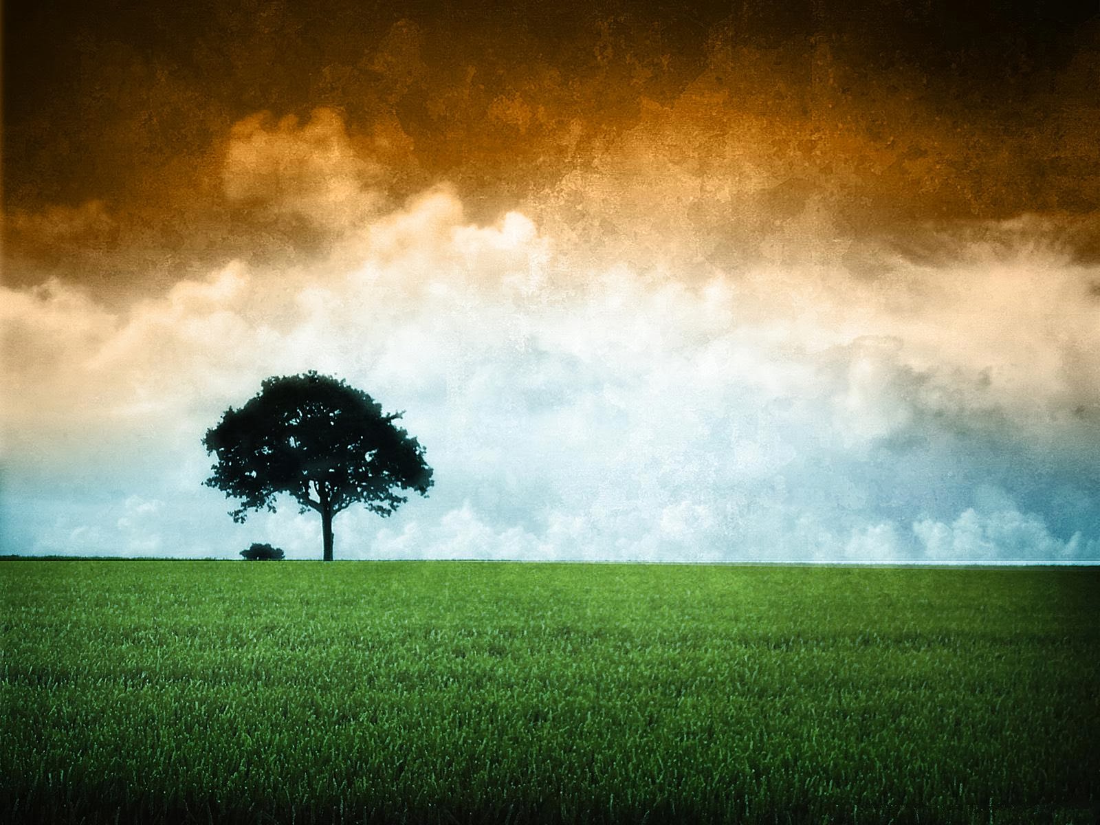Indian Flag Nature Background - HD Wallpaper 