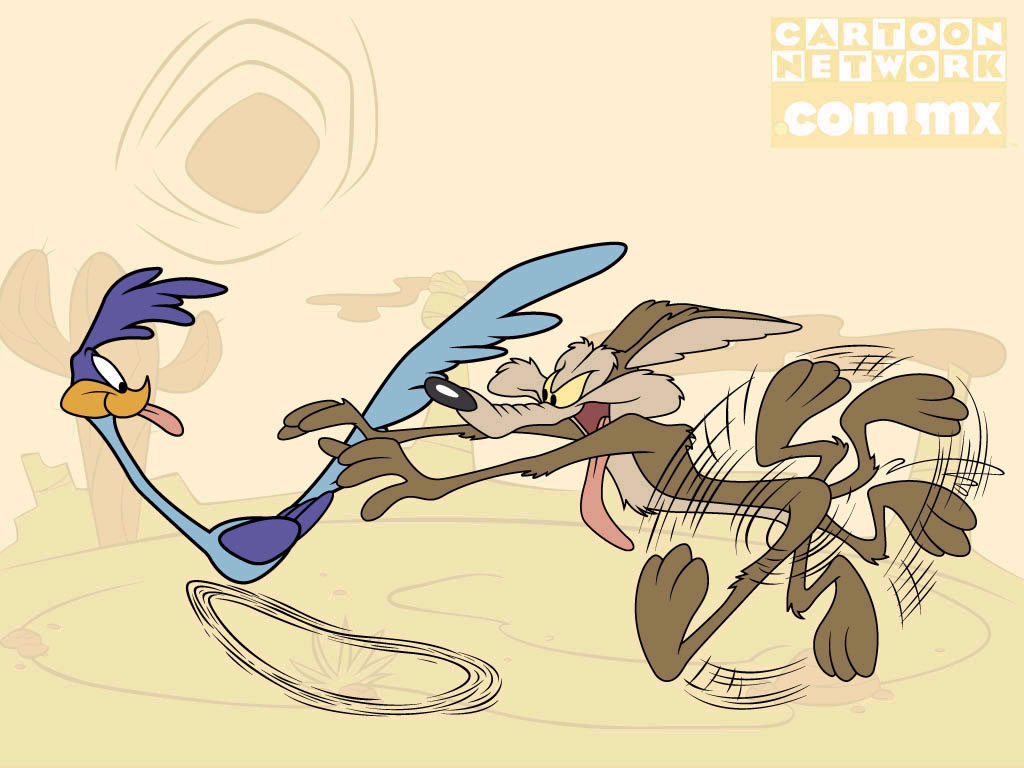 Roadrunner And Coyote - Road Runner And Coyote Running - HD Wallpaper 