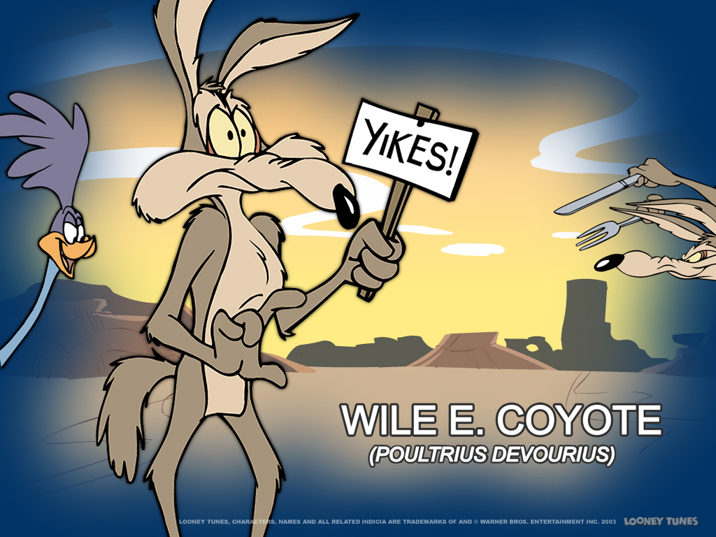 Wile E Coyote Beep Beep - Looney Tunes Coyote Name - HD Wallpaper 