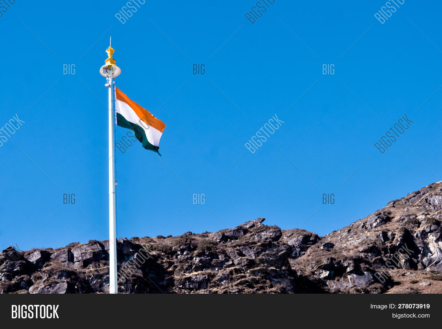 Tiranga Cute - HD Wallpaper 