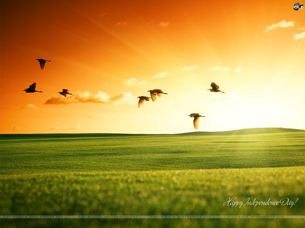 Independence Day - Desktop India Wallpaper Hd - HD Wallpaper 