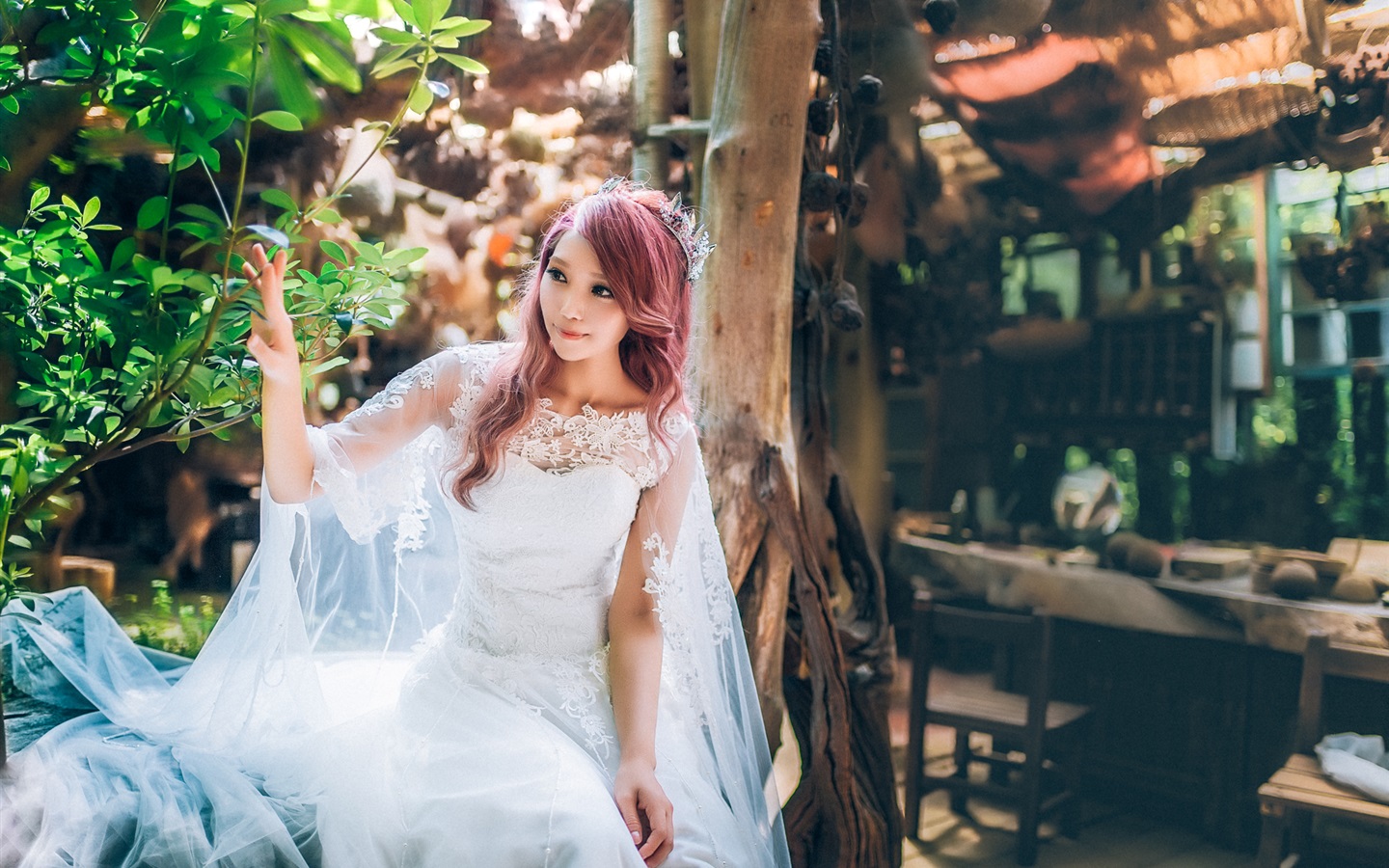 Wallpaper - HD Wallpaper 