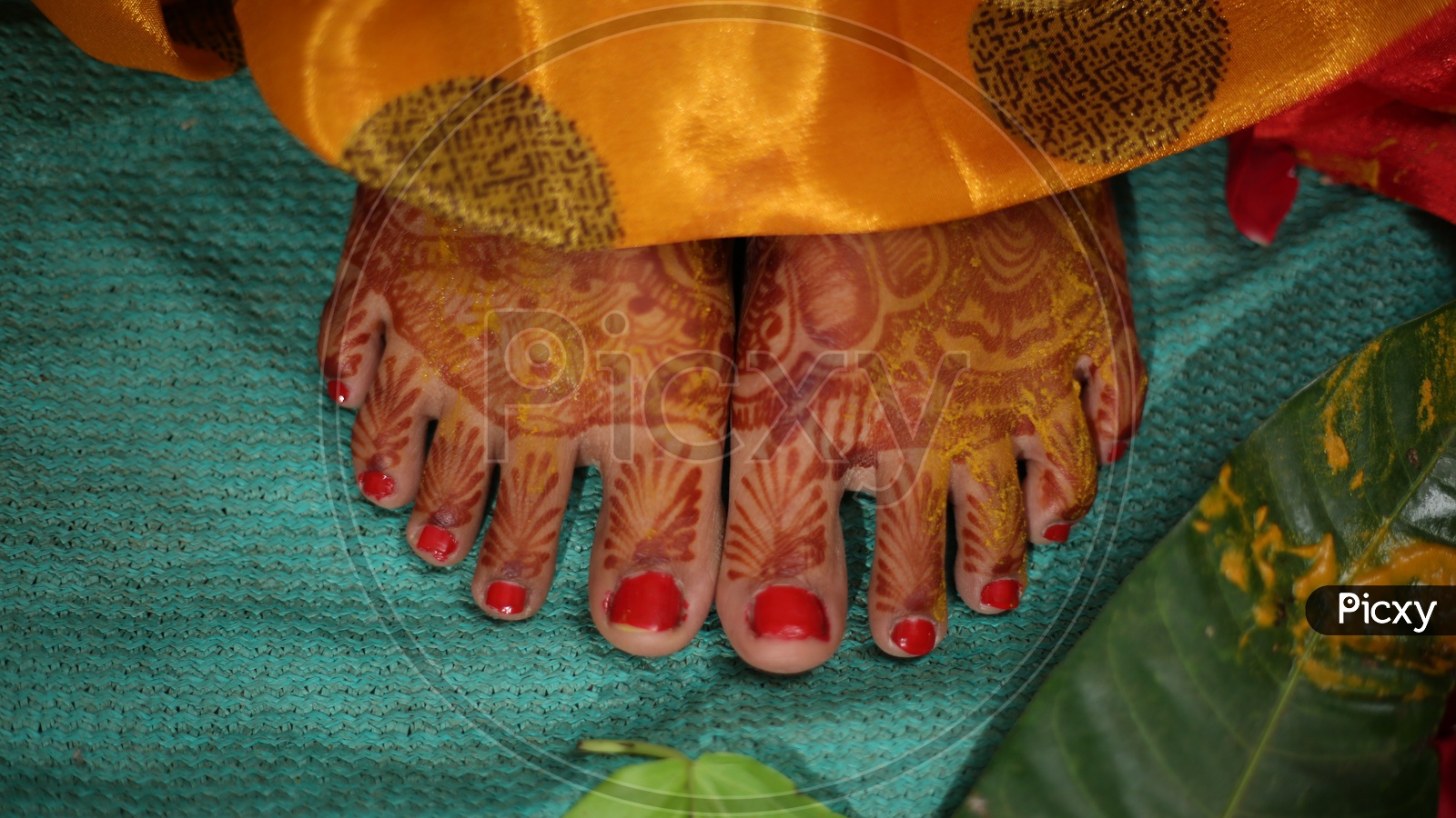 Close-up - HD Wallpaper 