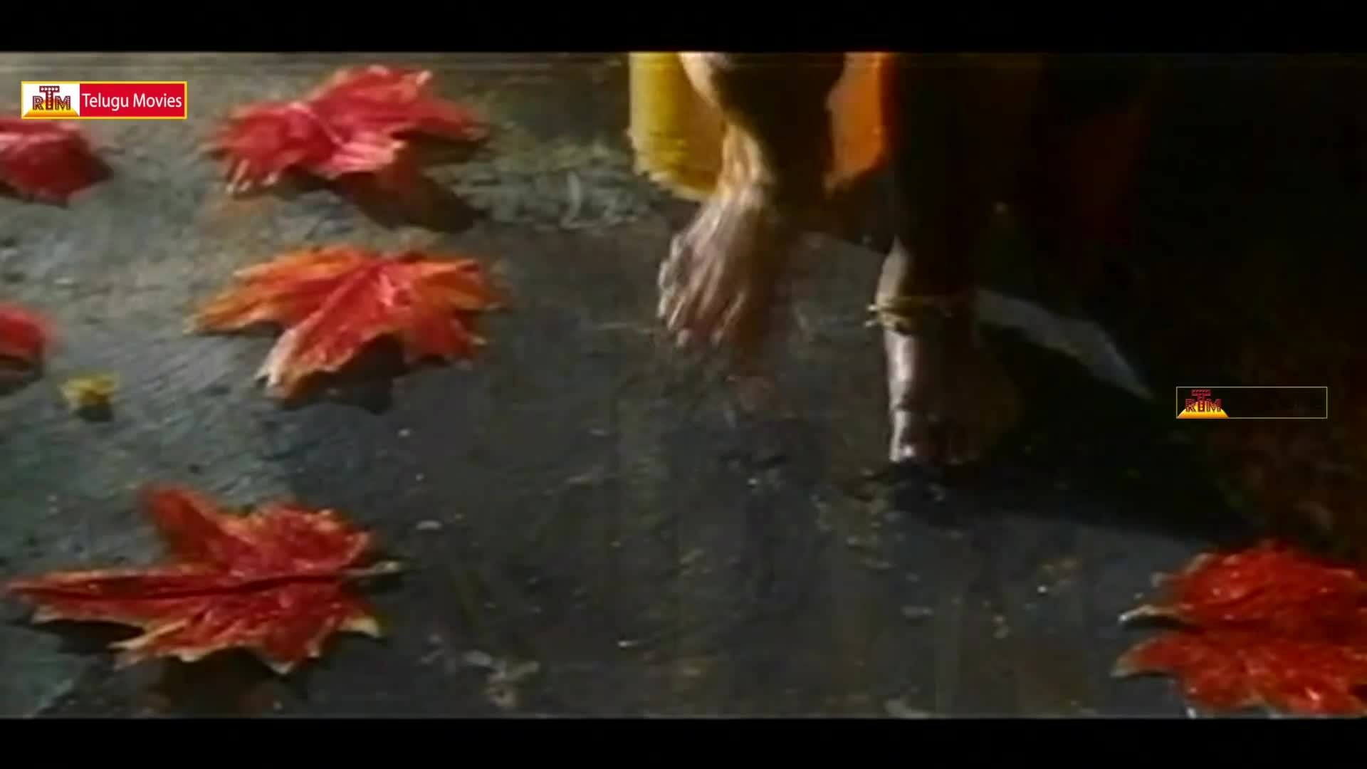 Maple Leaf - HD Wallpaper 