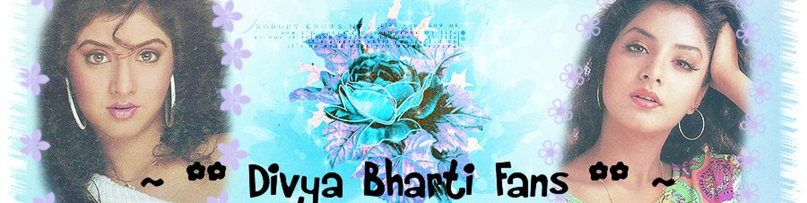 Garden Roses - HD Wallpaper 