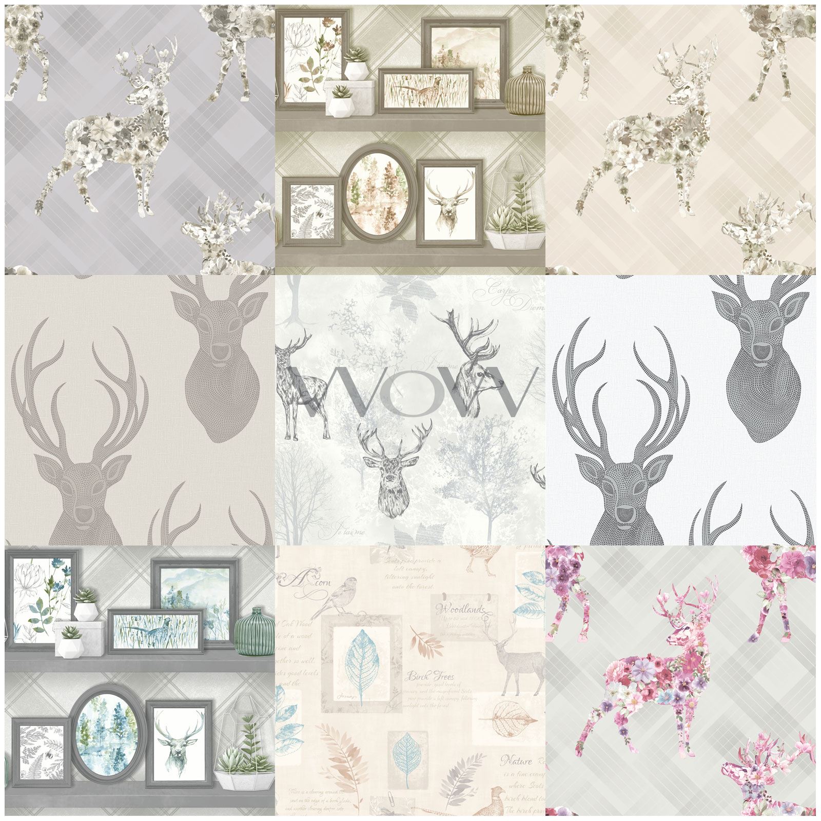 Reindeer - HD Wallpaper 