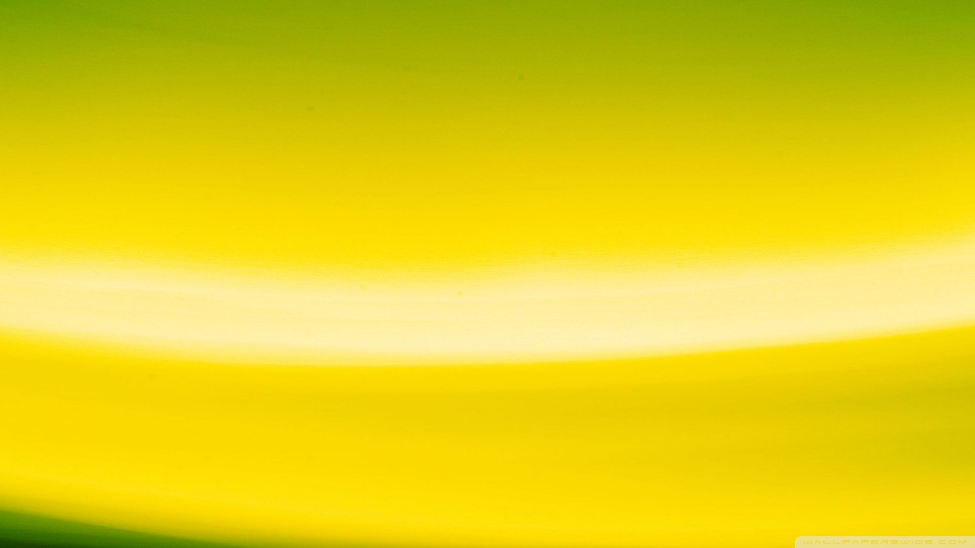 Backgrounds Yellow & Green - HD Wallpaper 