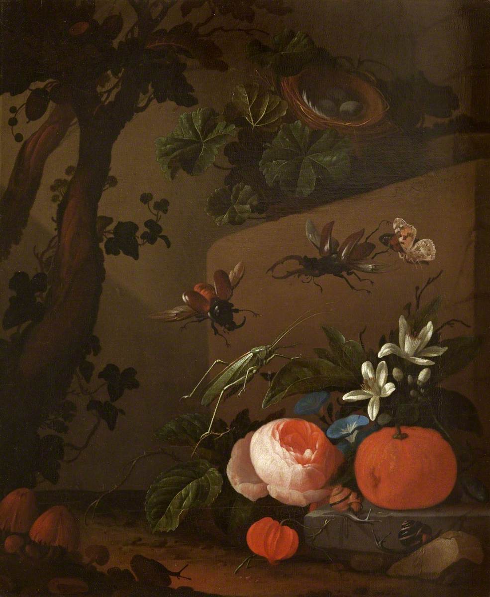 Still Life Of Flowers In A Vase, Cape Gooseberries - Still Life Photography - HD Wallpaper 