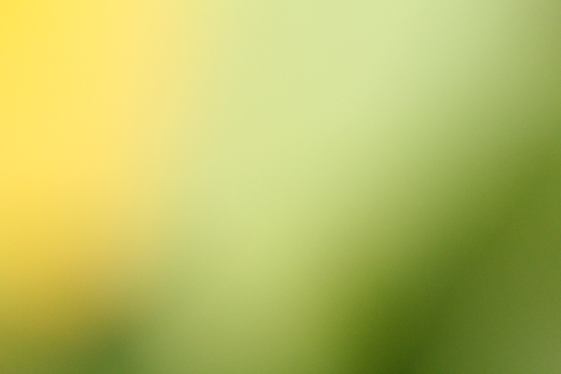 Yellow green Blur Free Photo - Yellow Green Blur Background - 1920x1280  Wallpaper 